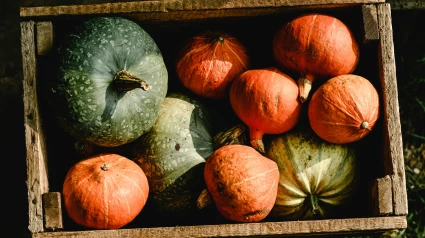 Octubre en el huerto: las frutas y verduras que marcan la temporada