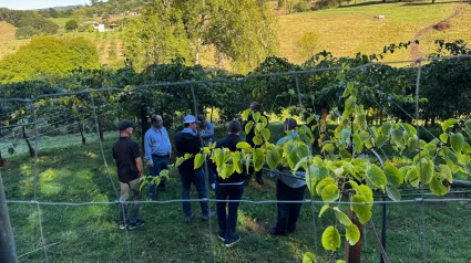 Delegación internacional visitando una plantación de arándanos en Asturias