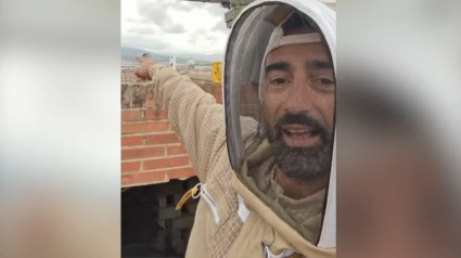 Sergio Guerrero, el apicultor que retiró las abejas