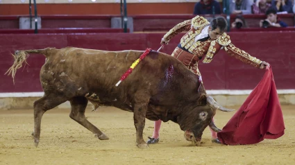 Javier Castaño durante su actuación este domingo en Zaragoza
