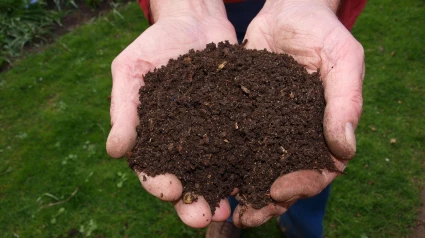 Compost