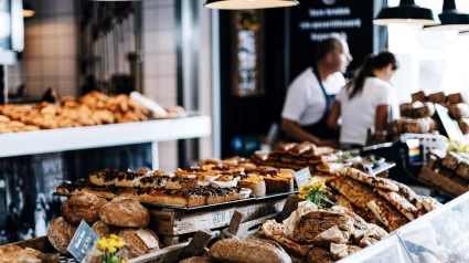Horno degustación