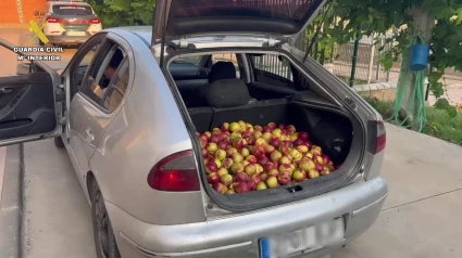 Aldeanueva_robo de fruta (2)