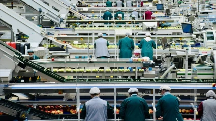 Hoy es el día del trabajo decente