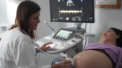 Ecografía a una embarazada