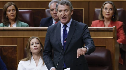 El líder del PP, Alberto Núñez Feijóo, durante la sesión de control al gobierno celebrada este miércoles en el Congreso