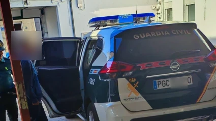 Fraude millonario en la venta de mascotas: detenido un hombre por estafa y blanqueo