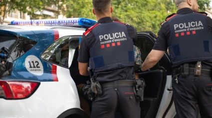 A la detenida se le imputan 17 hurtos al personal de limpieza del edificio
