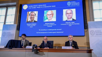 Los científicios Susumu Kitagawa, Richard Robson y Omar M. Yaghi ganan el Nobel de Química por el desarrollo de estructuras metalorgánicas
