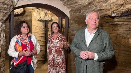 Visita galerías Torreón