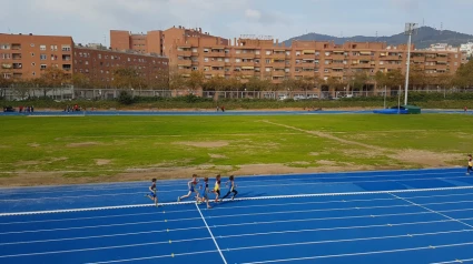 Can Dragó deberá adaptarse para recibir al Europa