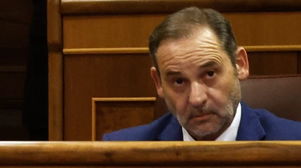 El diputado y exministro José Luis Ábalos durante un pleno en el Congreso de los Diputados