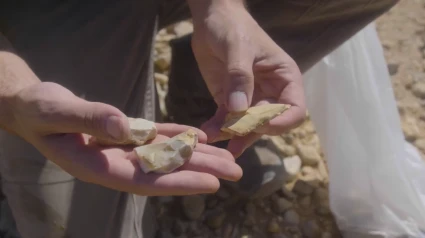 Descubrimiento en El Provencio