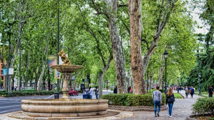 Paseo por Madrid