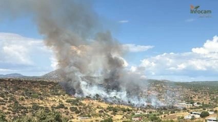 Incendio forestal declarado en Almorox