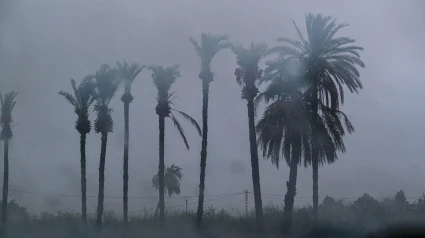 Fuerte tormenta registrada este jueves en La Foia, en Elx