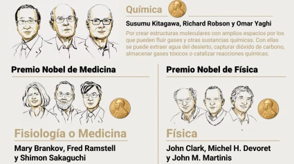 Los premios Nobel de Química, Medicina y Física