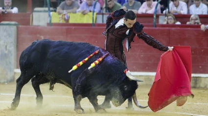 José Fernando Molina, durante su actuación este domingo en Zaragoza