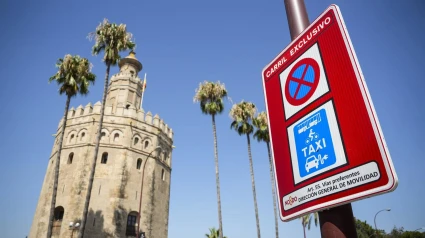 Así es la nueva señalización que informa de los carriles reservados para el servicio público de autobuses donde se han colocado cámaras de vigilancia