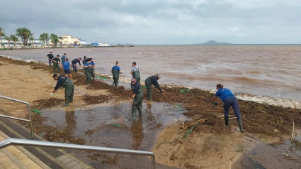 Limpieza de biomasas en Islas Menores
