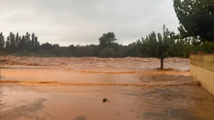 Las voces del Delta ante una tempestad de máxima violencia;" hay mucha desesperación, ha sido lo nunca visto, todo destrozado.