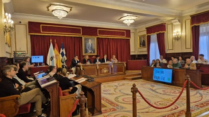 El pleno extraordinario se celebró en la tarde de este lunes
