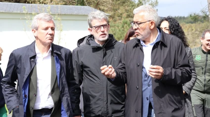 Rueda y Fernández