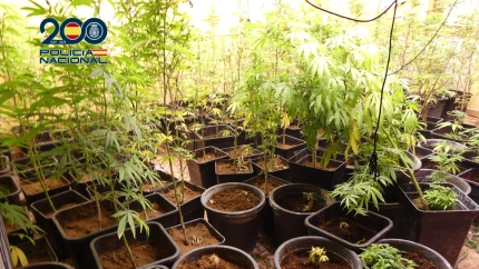 Ocho detenidos en Molina de Segura por dos “vuelcos” de droga
