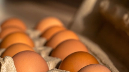 Sube el precio de los huevos