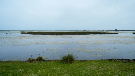 (Foto de ARCHIVO)Imágenes del Parque Nacional de Doñana. A 9 de abril de 2025 en Almonte, Huelva (Andalucía, España). La consejera de Sostenibilidad y Medio Ambiente de la Junta de Andalucía, Catalina García, ha visitado El Parque Nacional de Doñana para conocer de primera mano el estado actual de sus lagunas y zonas húmedas. Acompañada por técnicos del Espacio Natural de Doñana.Francisco J. Olmo / Europa Press09/4/2025