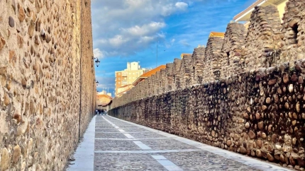 Cerca Medieval León