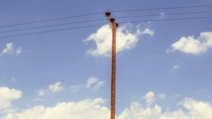 Poste telefónico (Archivo)