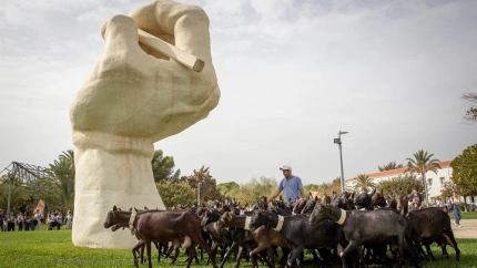 La Universidad de Alicante celebra la Fiesta de la Trashumancia con un rebaño atravesando el campus