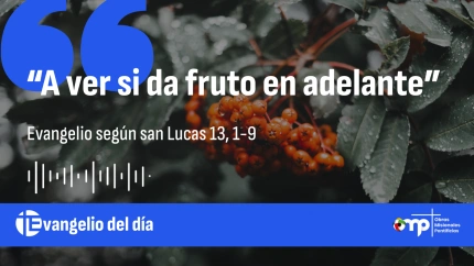 EVANGELIO DEL DÍA 25 OCT
