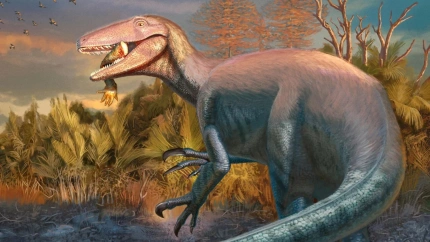 Reconstrucción de Joaquinraptor
