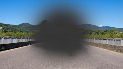 Degeneración macular: pérdida del campo de visión central