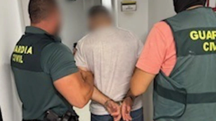 Desmantelada en Balanegra una plantación de marihuana con cerca de medio millar de plantas