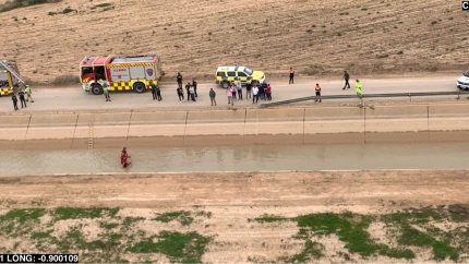 Foto del dispositivo de búsqueda