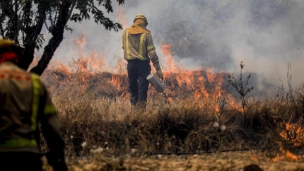 Bombero Forestal