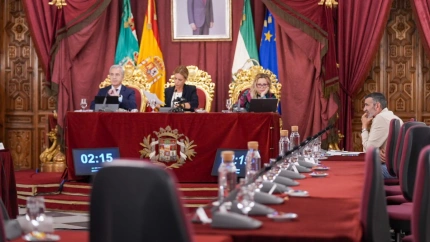 Pizarro, único Socialista que ha permanecido en el Pleno