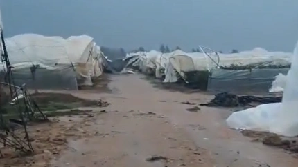 Finca 'El Divino' en el término municipal de Isla Cristina