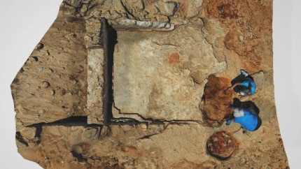 Restos hallados en Sancti Petri