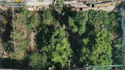 La Guardia Civil localiza en Arrúbal la vivienda de la que emanaban fuertes olores a marihuana