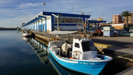 Lonja del Puerto de Castellón