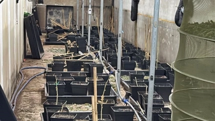 Nave en Almendralejo donde se cultivaba la marihuana