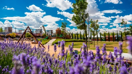 Nuevos arboles con su propio DNI llegan a las calles de Zaragozaº