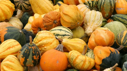 Qué comer en noviembre: los productos de temporada que llenan la cocina de otoño