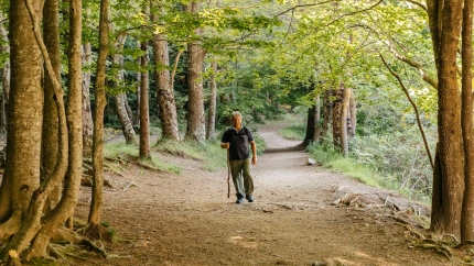 Un hombre camina por el campo