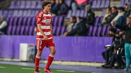 Hormigo se retira del terreno de juego tras ser expulsado en Valladolid