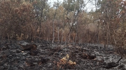 Las aguas bajan negras en Gargantilla (Cáceres)
